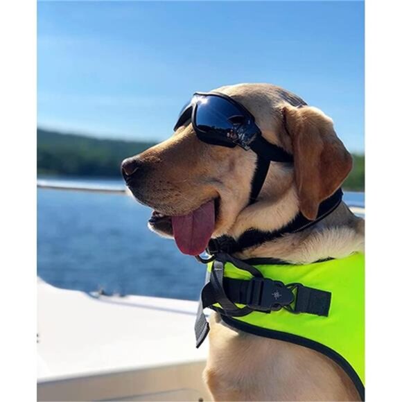 Dog Sunglasses Dog Goggles Adjustable Strap for Travel Skiing and Anti-Fog - Picture 2 of 7